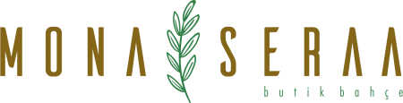 Mona Seraa